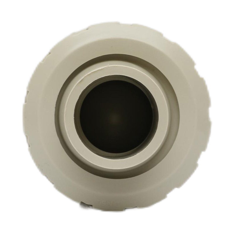 Válvula de retención para soldadura por fusión en caliente PPH H61F-10S, estándar DN50 GB