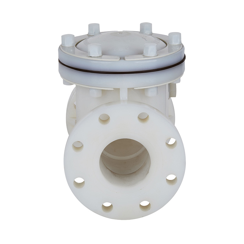 Válvula de retención tipo oscilante PVDF H44F-10F DN15-300 GB Estándar