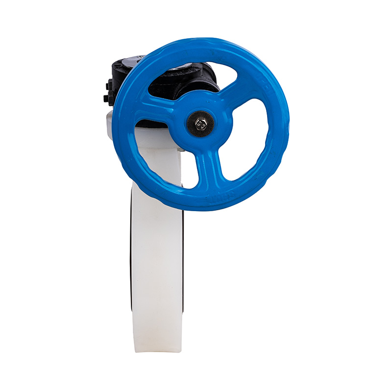 Válvula de mariposa con engranaje helicoidal PVDF D371X-10F DN40-1000 40A-1000A Estándar JIS