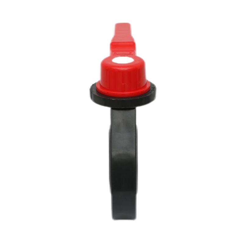 Válvula mariposa tipo volante FRPP D71X-10S DN15-200 15A-200A JIS Estándar