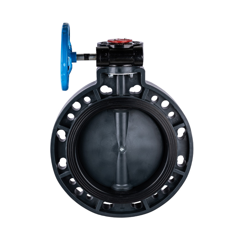 Válvula de mariposa con engranaje helicoidal FRPP D371X-10S DN40-1000 40A-1000A Estándar JIS